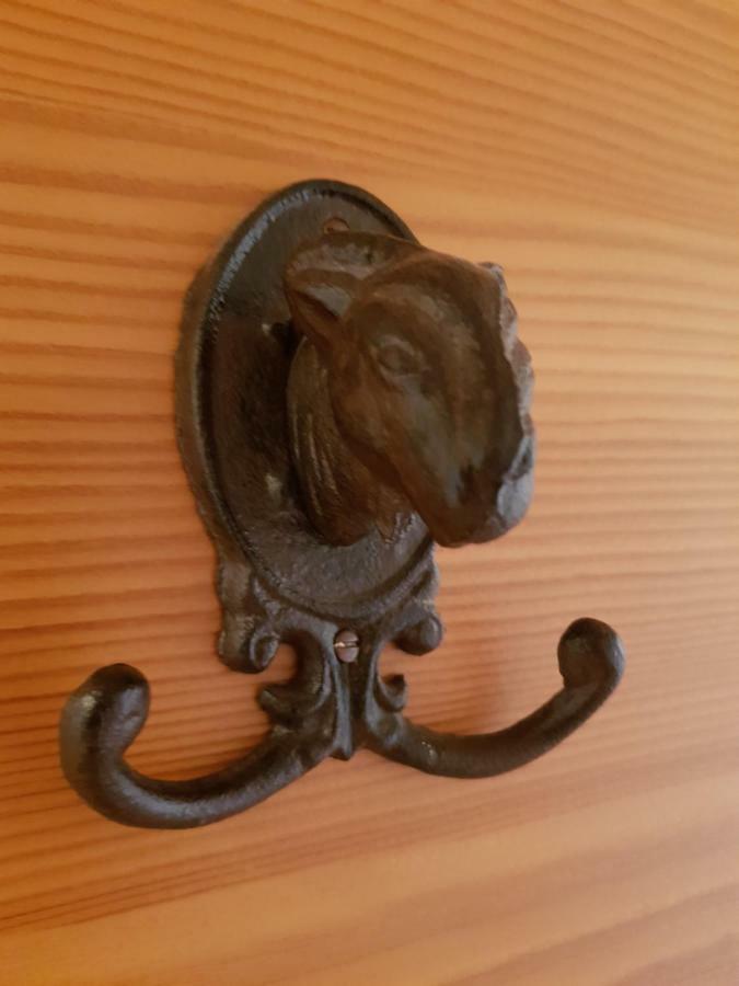 Appartements Gosaukamm.Com Eksteriør bilde