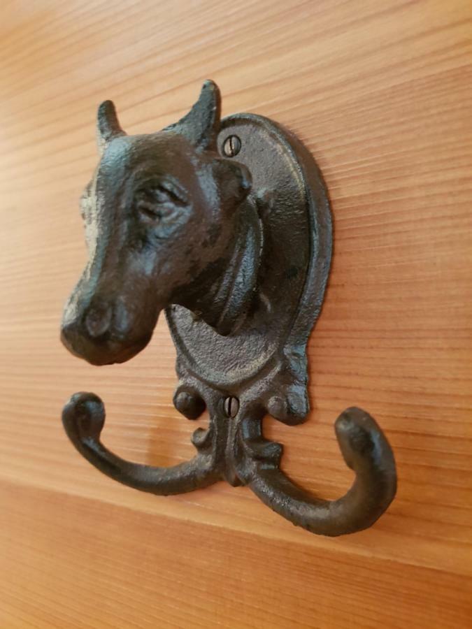 Appartements Gosaukamm.Com Eksteriør bilde