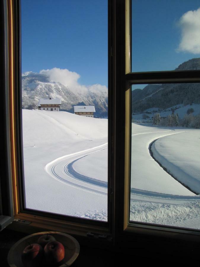 Appartements Gosaukamm.Com Eksteriør bilde