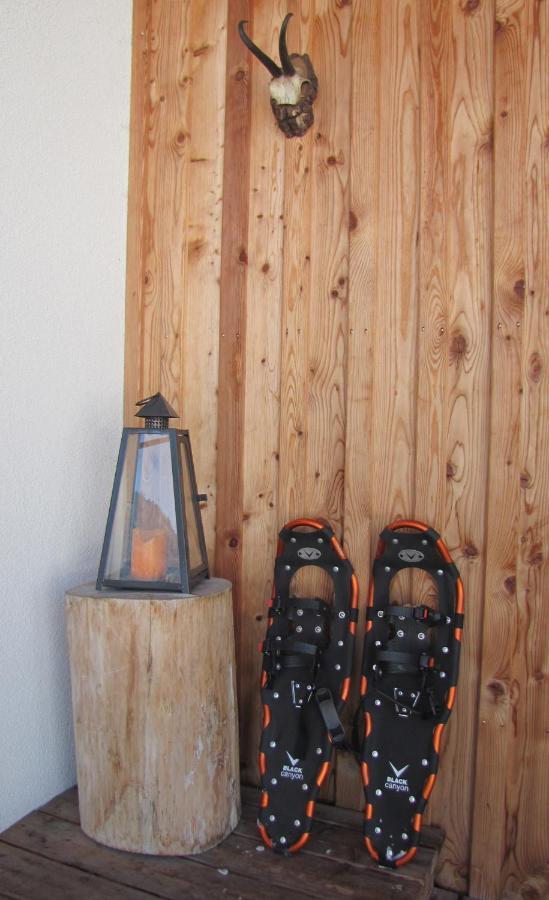 Appartements Gosaukamm.Com Eksteriør bilde